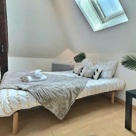 Le Travel - Appartement Equipe Proche Centre Et Yschools Troyes Kültér fotó